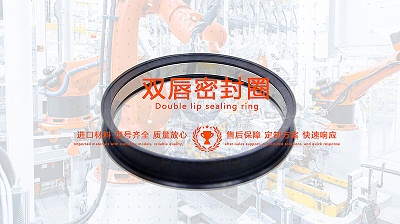 唇型密封圈的应用：液压和气压传动系统中的性能优化