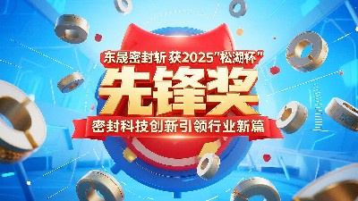 东晟密封斩获2025“松湖杯”先锋奖， 密封科技创新引领行业新篇！