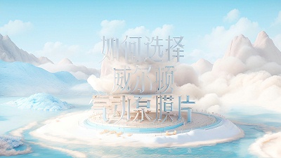 如何选择适合的威尔顿气动隔膜泵膜片？