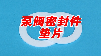 如何选择合适的泵阀密封件？