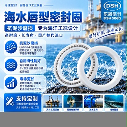 唇型密封圈
