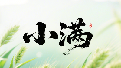 小满未满时，智造无止境——东晟密封圈的节气创新哲学!