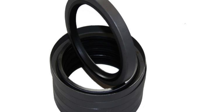 旋转密封件（Rotary Shaft Seal）1