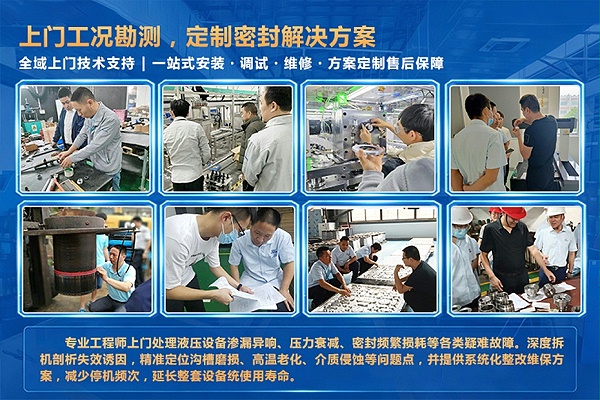 东晟密封圈厂家
