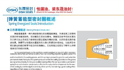 泛塞封唇型密封圈弹簧蓄能型密封圈概述