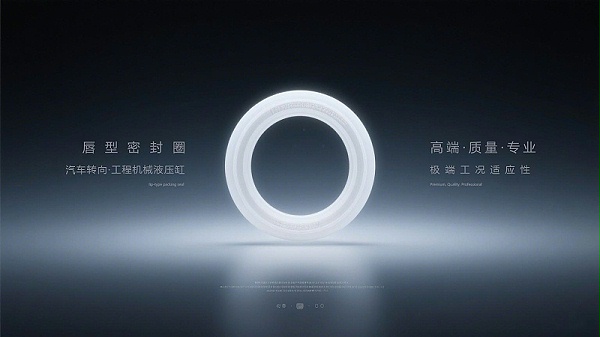唇型密封圈3