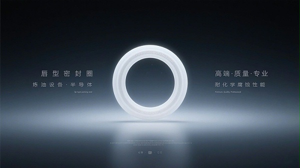 唇型密封圈1