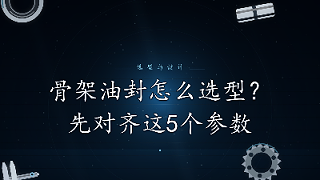 骨架油封怎么选型？先对齐这5个参数