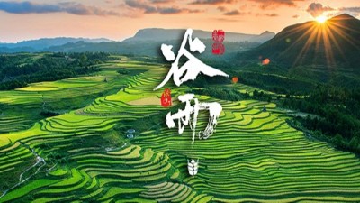 <i style='color:red'>谷雨</i>：春天的结束，生机的开始！