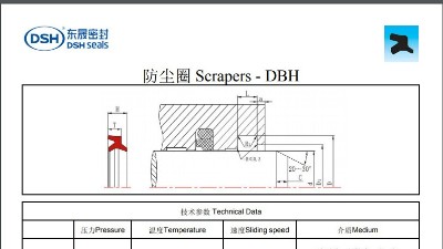 防尘圈DBH规格尺寸表