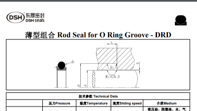 <i style='color:red'>薄型组合密封圈</i>规格尺寸表