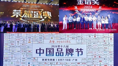 <i style='color:red'>东晟密封件</i>闪耀2024第十八届中国品牌节，荣获密封技术“金谱奖”