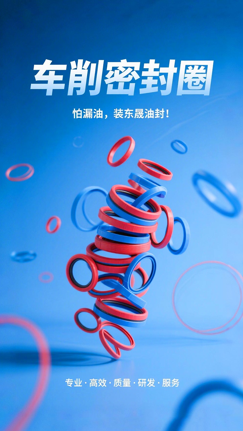 车削密封件 (2)