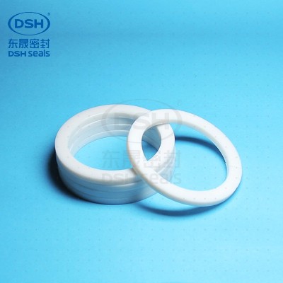 PTFE<i style='color:red'>垫片</i>