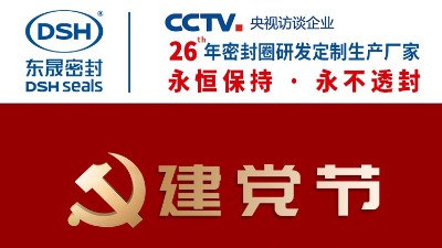 建党节|东晟密封祝贺《香港特别行政区维护国家安全法》生效
