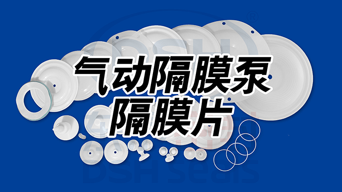 气动隔膜泵隔<i style='color:red'>膜片密封圈</i>的更换方法