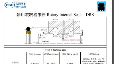 <i style='color:red'>轴用旋转格来圈</i>规格尺寸表DRS