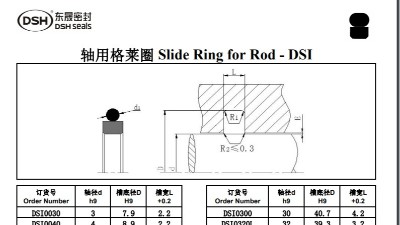 轴用<i style='color:red'>格莱圈规格尺寸</i>表2