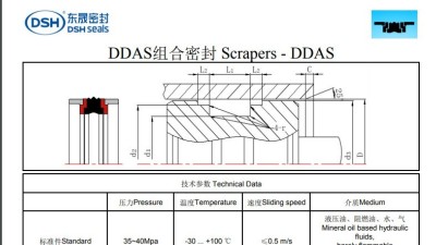 DDAS组合密封规格尺寸表