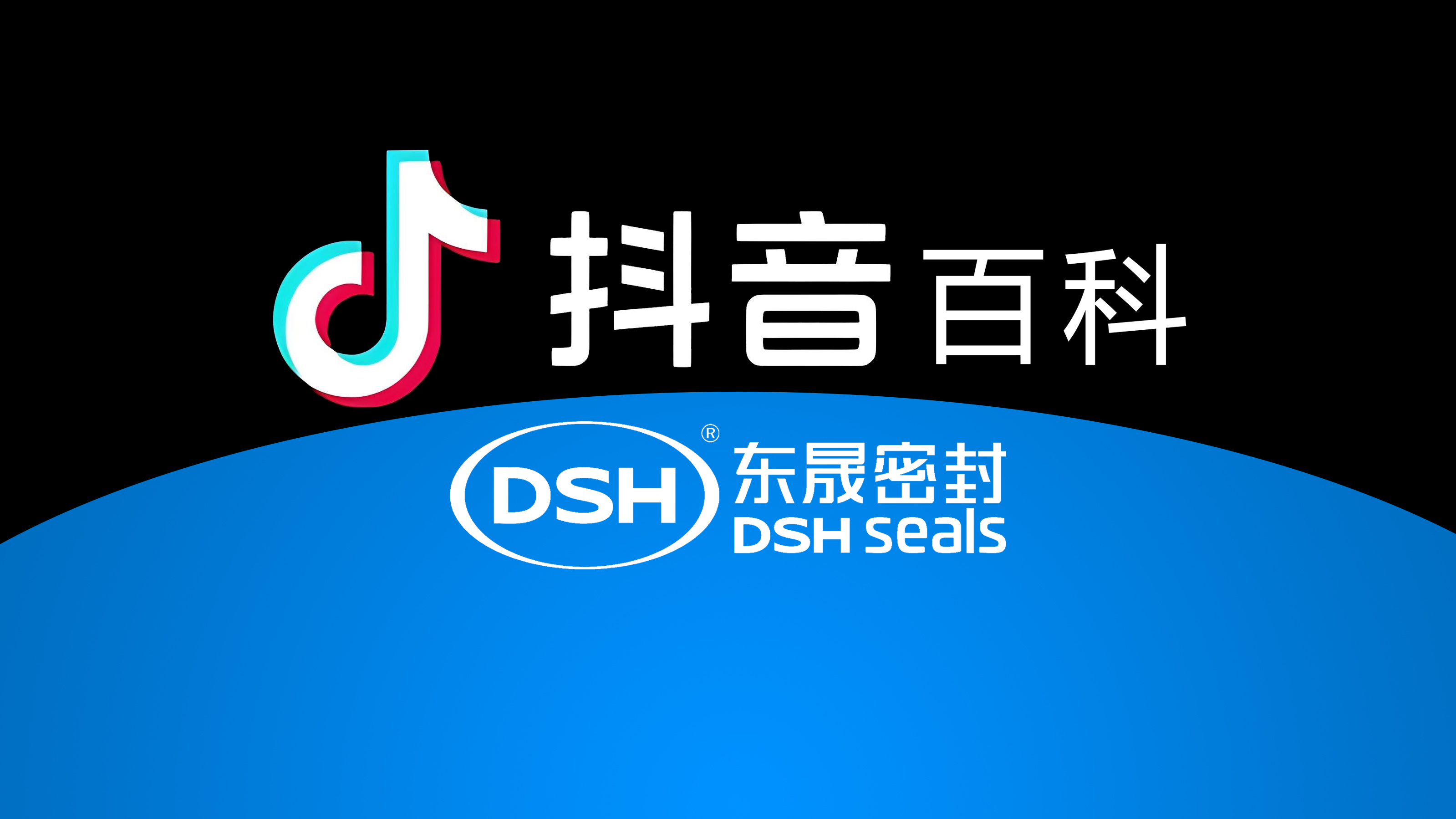 权威解读，<i style='color:red'>东晟密封</i>件官方百科闪耀抖音！