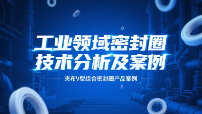 <i style='color:red'>夹布v型组合密封圈</i> ® 工业领域密封圈技术分析及案例！