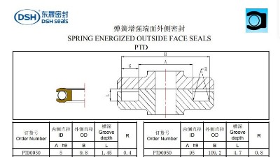 新版弹簧增强端面外侧密封