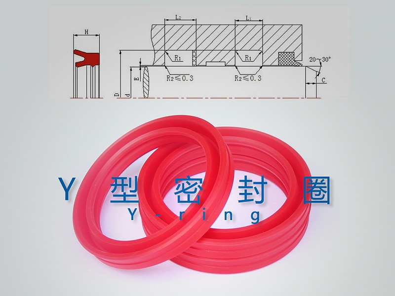 Y型密封圈（密封件、油封）与截面结构产品图