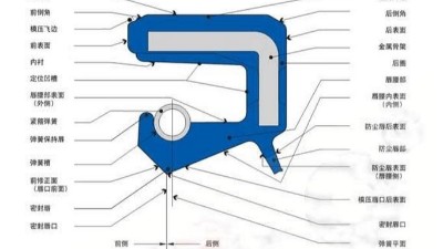 一个内包<i style='color:red'>骨架密封圈</i>每个部位的名称术语大全！！