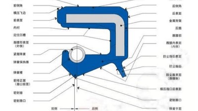 一个内包<i style='color:red'>骨架密封</i>圈每个部位的名称术语大全！！