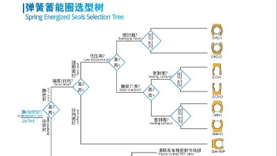 泛塞封唇型密封圈弹簧蓄能圈选型