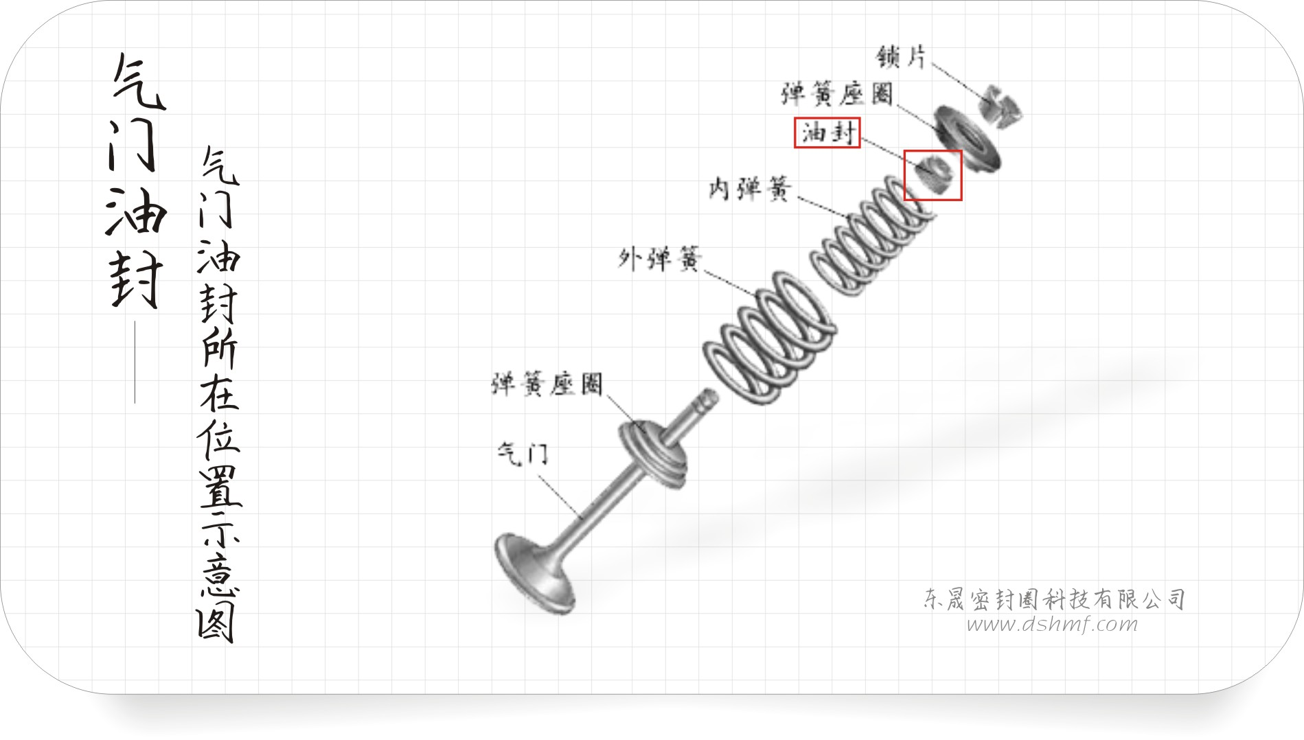 什么是氟橡胶气门油封?